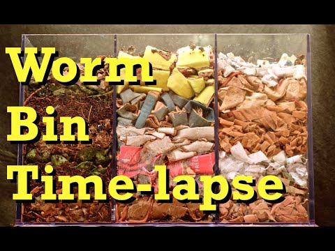 3-chamber Carbon-only WORM BIN 100-Day TIME-LAPSE – FAST – vermicomposting